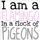 vcm_s_kf_max160_160x160 (2)