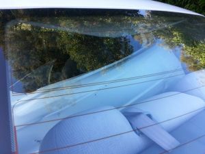 10459930_10152021018221887_4165453245152724532_n