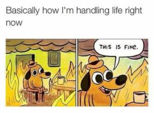 morning_coffee_39_photos19