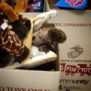 10843881_745998268813507_1815373668_n