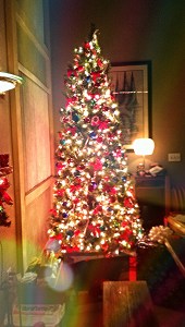 2014-12-20 17.18.48-1