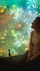 2015-02-23 14.52.50-1