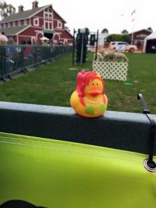 11377248_10206927131957065_769600214607403818_n