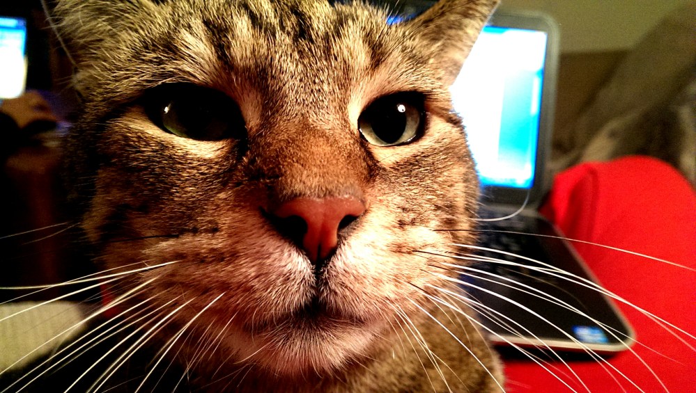 2014-01-22 20.59.25-1